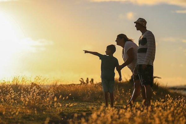 Où Trouver Des Mutuelles Santé Adaptées Aux Familles ?